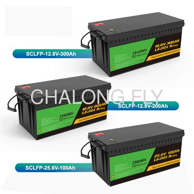 96V 300AH IP67 Waterproof Marine Lithium Battery Lifepo4 Battery with OEM/ODM Support