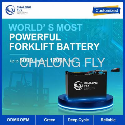 51.2V 608Ah LiFePO4 Forklift Battery with 4G Monitoring and SOC Display