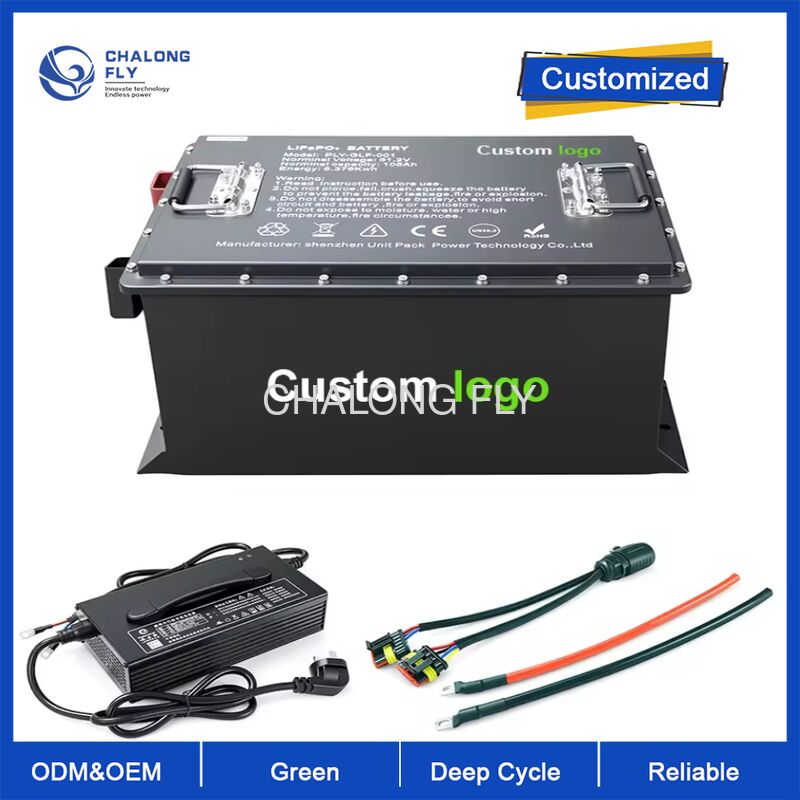 OEM ODM LiFePO4 MAX BMS 200A Golf Cart Battery Electric Lithium Ion Battery Packs High Capacity 51.2v 105ah