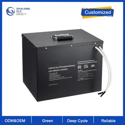 ODM OEM pin lithium LiFePO4 Pure Sine Wave 24V 48V 51.2V 100Ah 150Ah 200Ah pin lithium