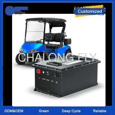 Pin lithium 48V 100Ah cho xe gôn bằng Bluetooth và 4000 chu kỳ LiFePO4 cho xe gôn điện