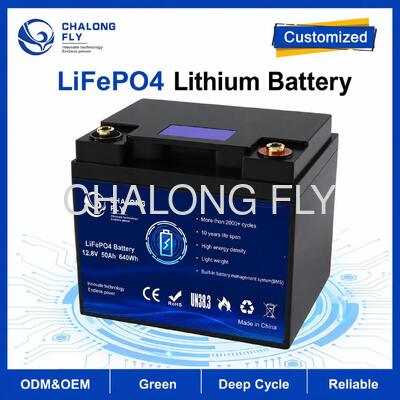 Bộ pin 12.8V 50Ah LiFePO4 tùy chỉnh với BMS tích hợp cho RV Campervan và điện phụ trợ