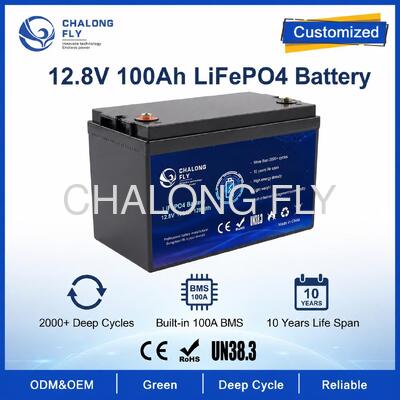 Bộ pin 12.8V 100Ah LiFePO4 tùy chỉnh với BMS cho đèn đường mặt trời và nguồn hỗ trợ RV