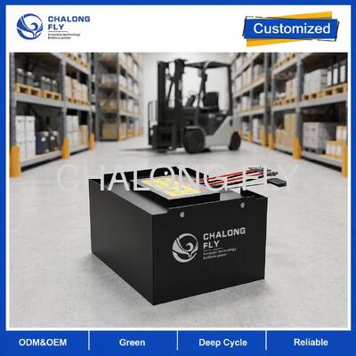 51.2V 608Ah LiFePO4 pin xe nâng với giám sát 4G và hiển thị SOC