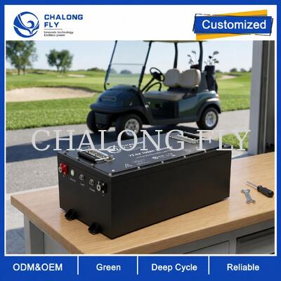 Pin sạc LiFePO4 cho xe golf OEM ODM với điện áp tùy chỉnh, BMS tùy chỉnh và giao tiếp CAN