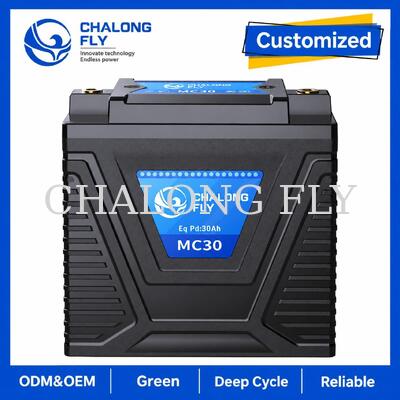 12.8V 10Ah Pin sạc LiFePO4 600A cho xe máy thay thế ắc quy axit-chì 15–30Ah