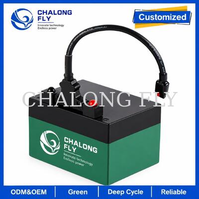 12.8V 18Ah 24Ah LiFePO4 Golf Trolley pin với T-Bar Connector