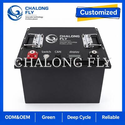 Pin sạc LiFePO4 OEM tùy chỉnh với BMS thông minh và vỏ kim loại cho xe nâng cắt kéo DC và nền tảng làm việc trên không