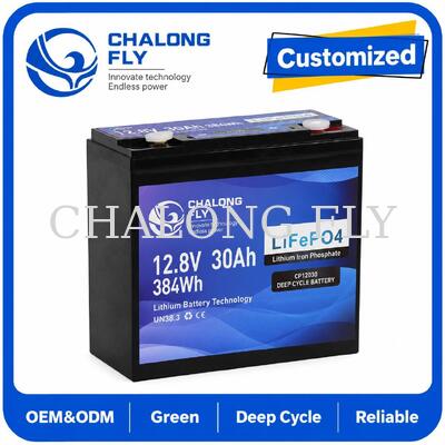 12.8V 30Ah LiFePO4 pin chu kỳ sâu với năng lượng 384Wh và Smart BMS cho hệ thống 12V