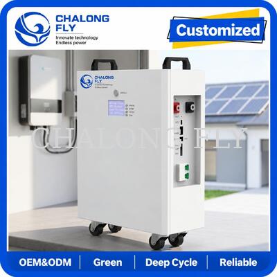 51.2V 314Ah 16kWh pin mặt trời nhà LiFePO4 cho hệ thống lưu trữ năng lượng nhà ở