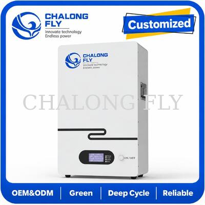 Hệ thống lưu trữ năng lượng dân dụng LiFePO4 gắn tường 51.2V Pin năng lượng mặt trời gia đình dự phòng